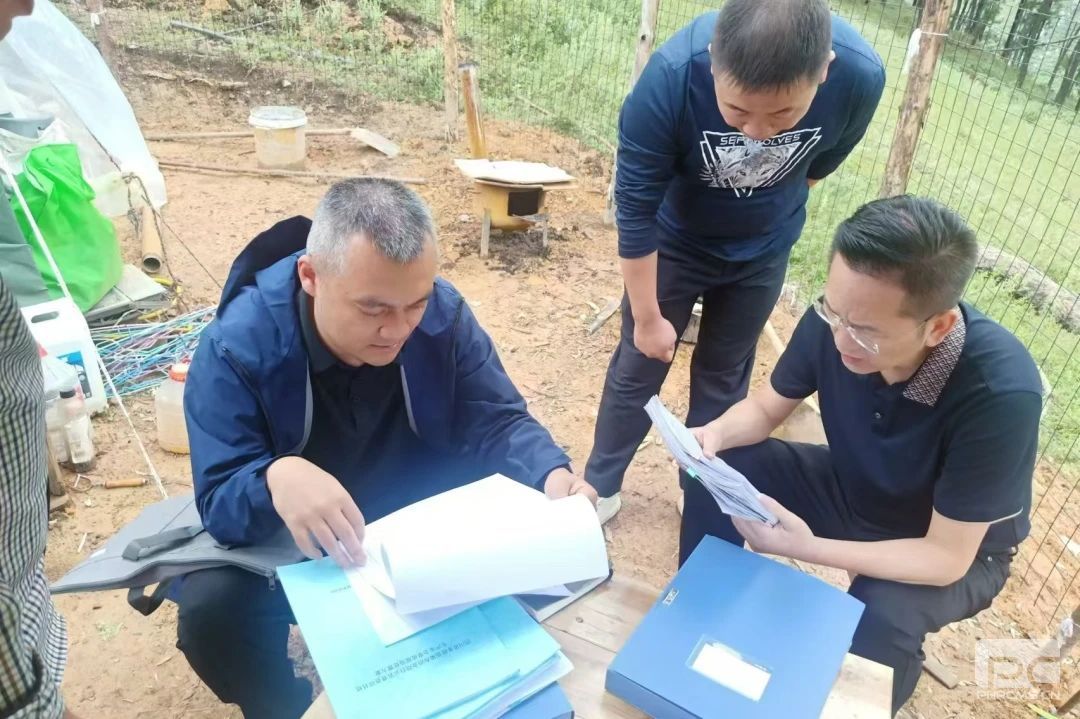ROR(集团)体育科技有限公司官网